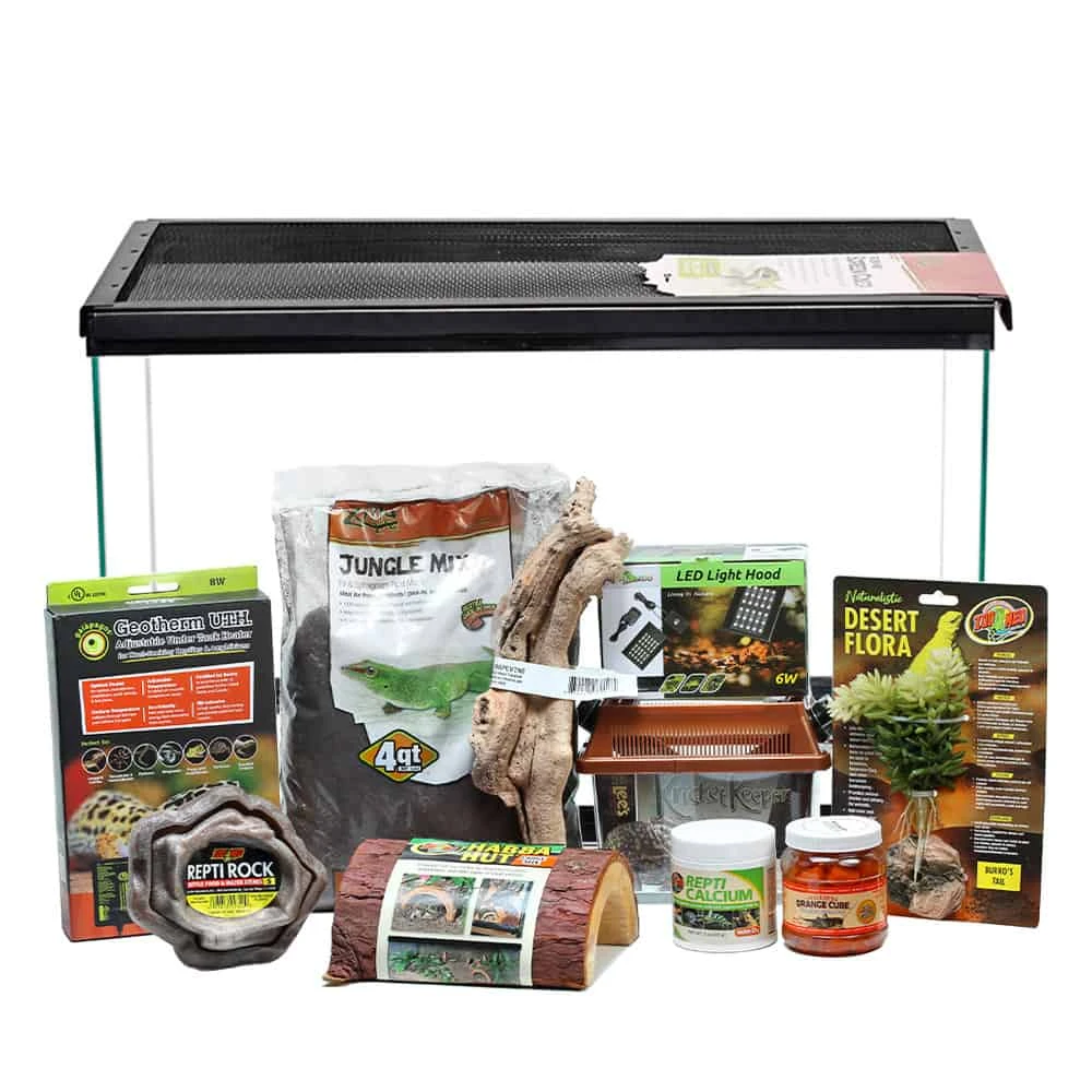 COMPLETE Leopard Gecko Setup - Image 6