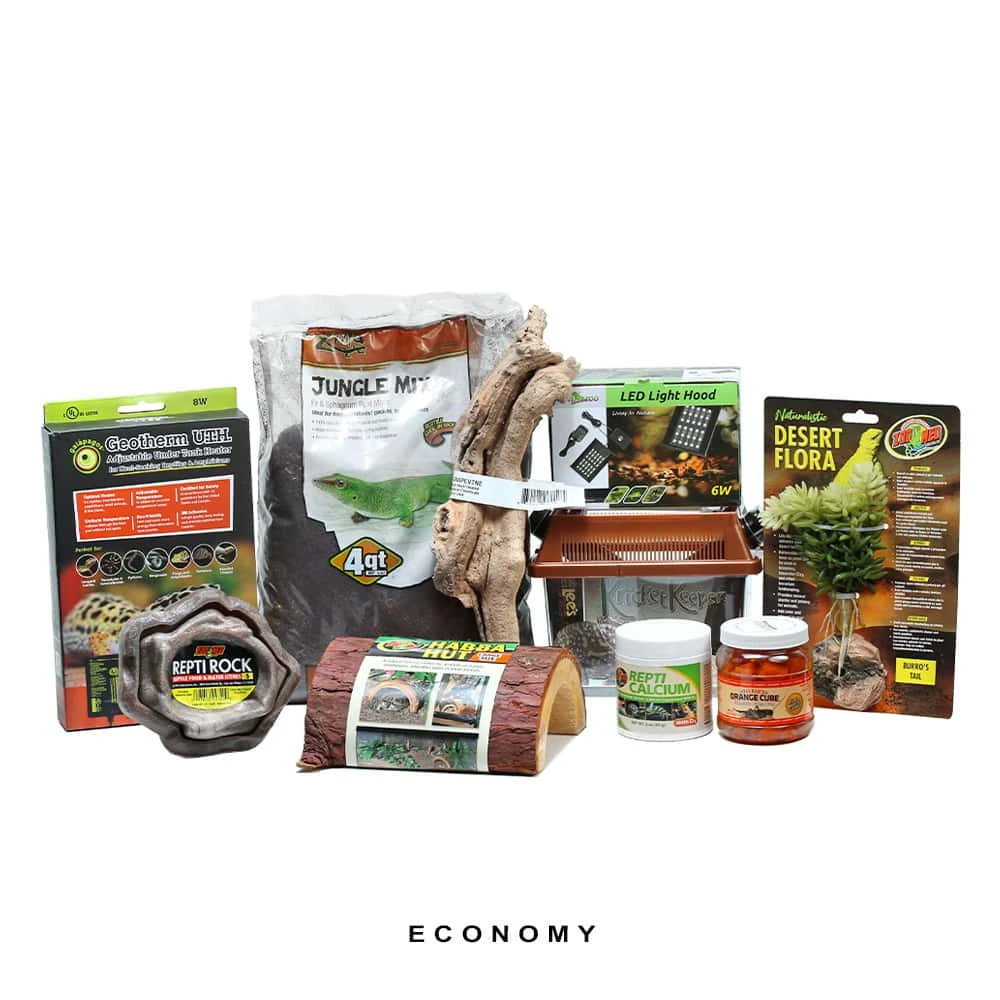 COMPLETE Leopard Gecko Setup - Image 7