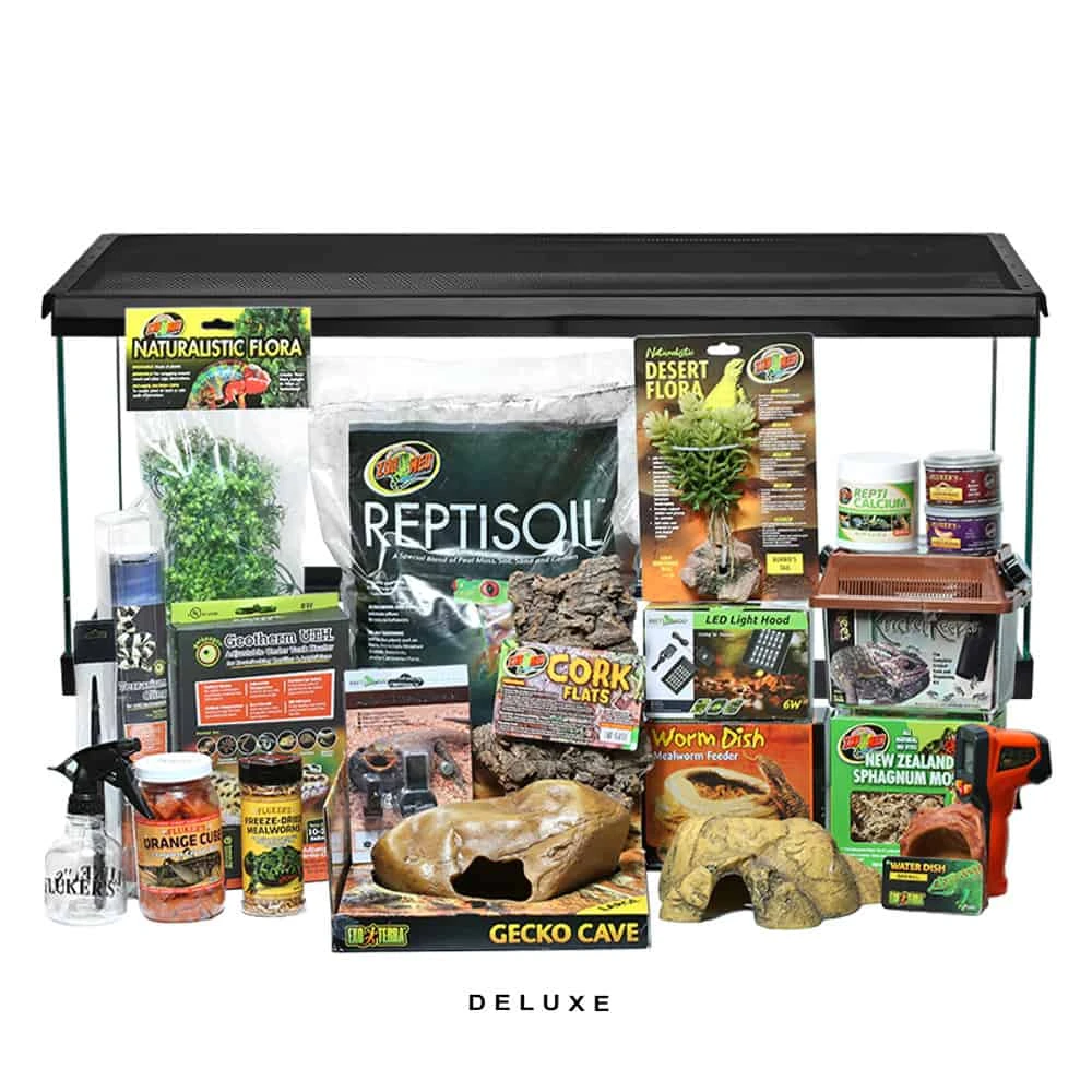 COMPLETE Leopard Gecko Setup