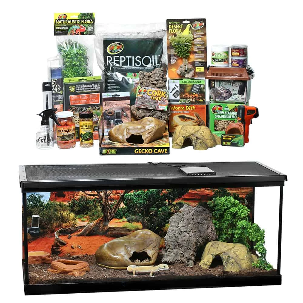 COMPLETE Leopard Gecko Setup - Image 4
