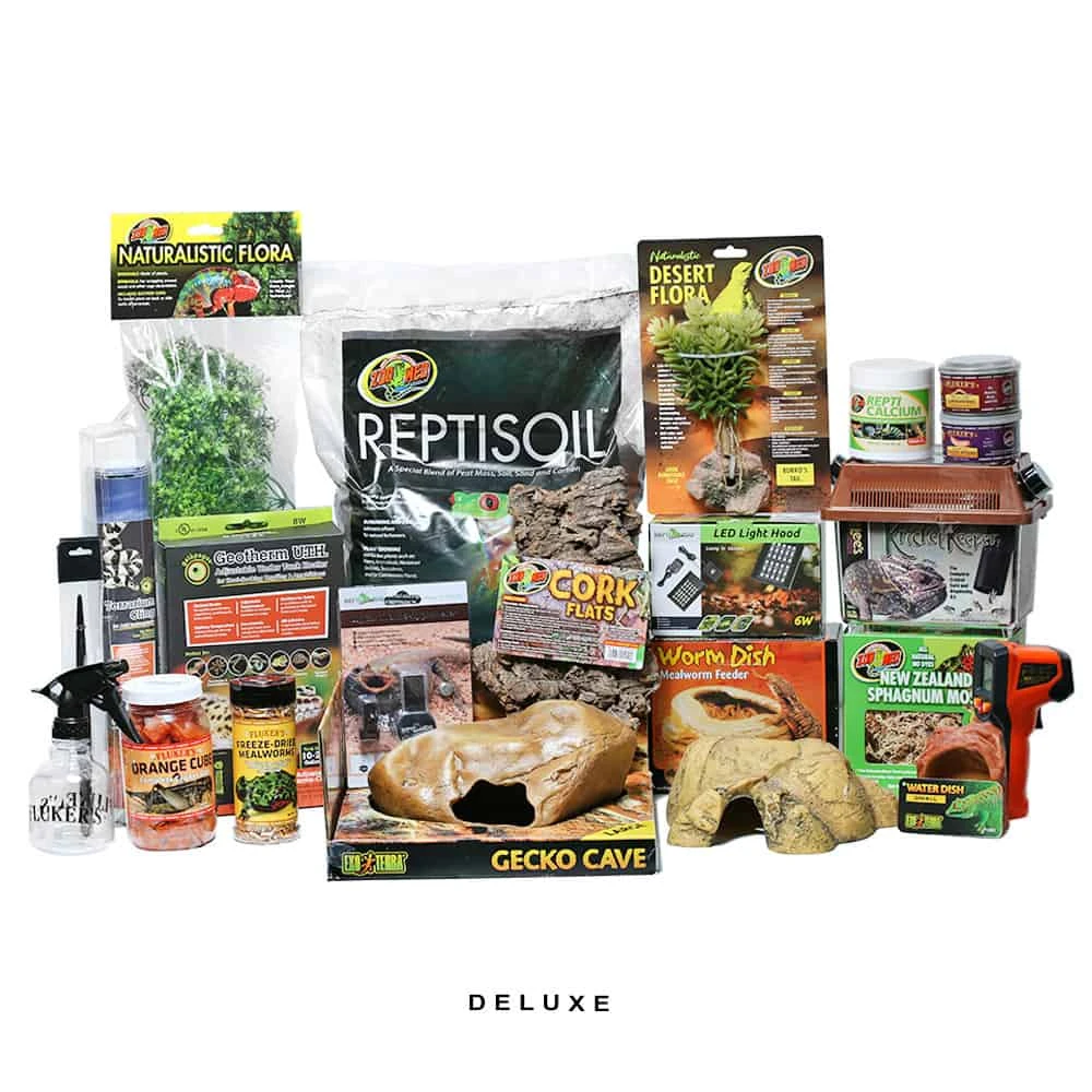 COMPLETE Leopard Gecko Setup - Image 2