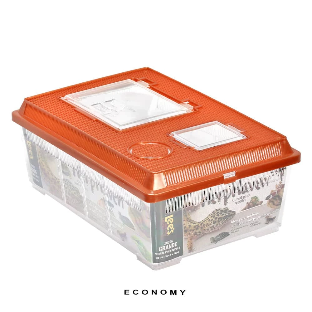 COMPLETE Salamader/Newt Setup - Image 9