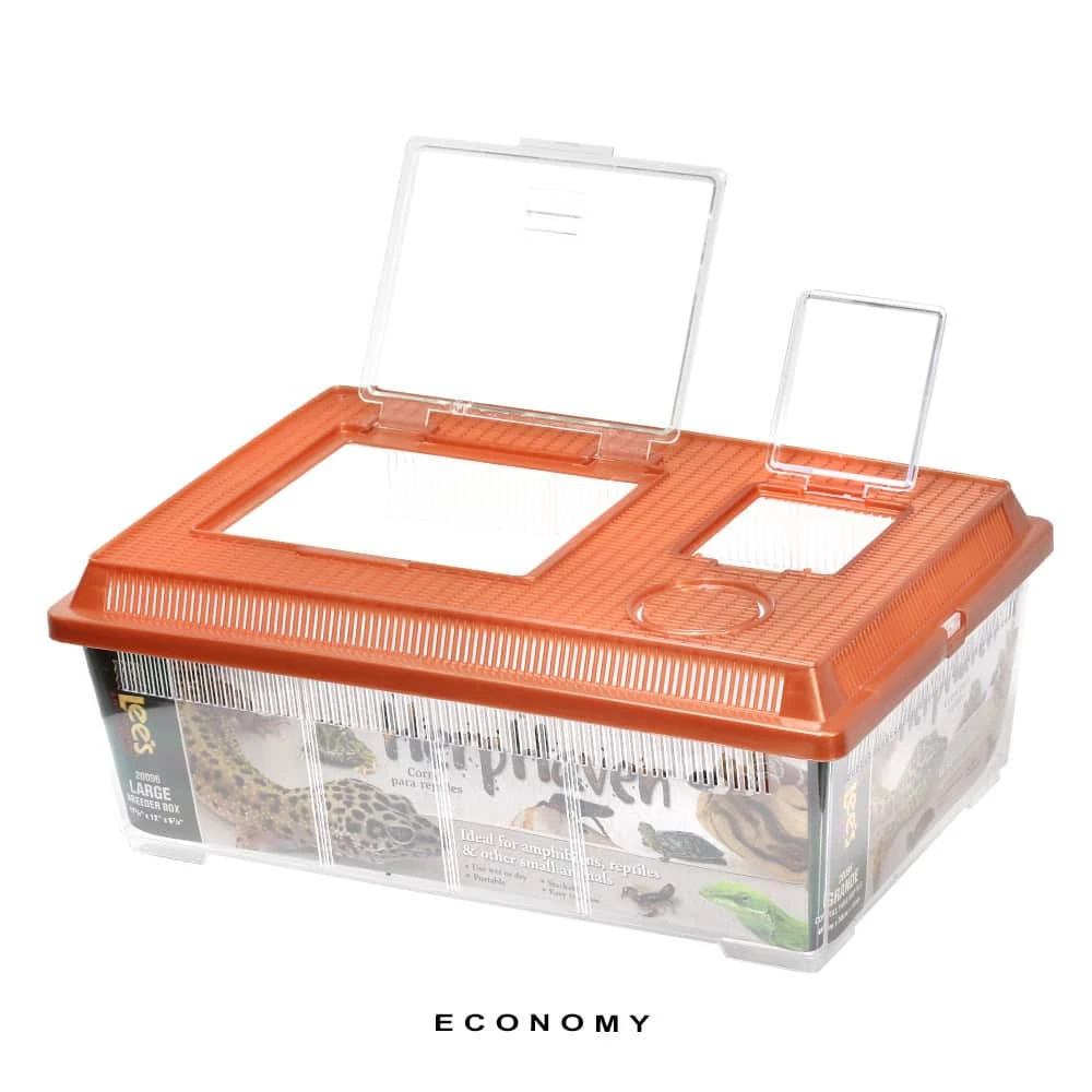 COMPLETE Salamader/Newt Setup - Image 10