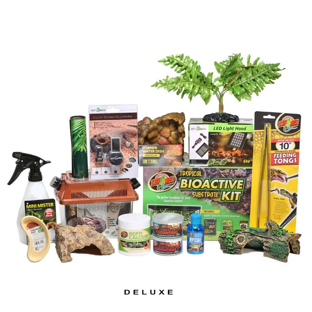 COMPLETE Salamader/Newt Setup - Image 2