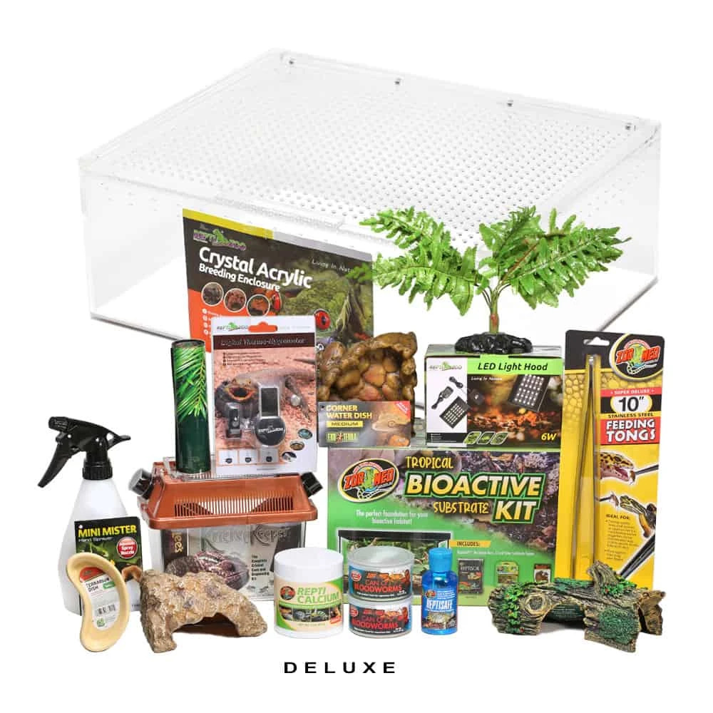 COMPLETE Salamader/Newt Setup - Image 4