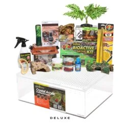 COMPLETE Salamader/Newt Setup