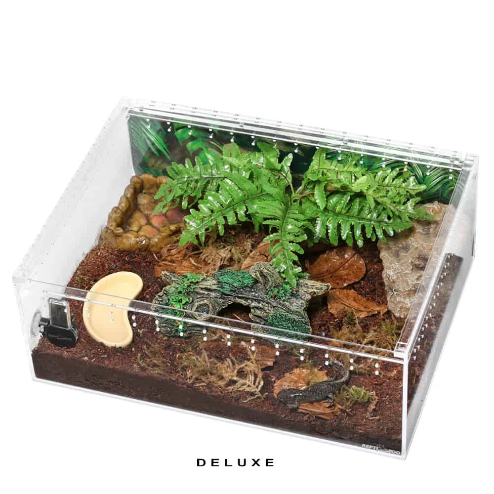 COMPLETE Salamader/Newt Setup - Image 5