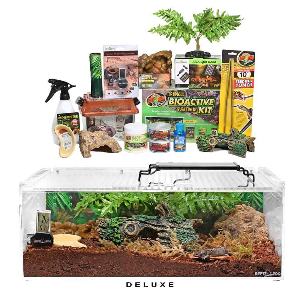 COMPLETE Salamader/Newt Setup - Image 6