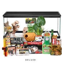 COMPLETE Ground Boa Setup