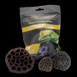 ReptiFauna™ Lotus Pods 3 Ct