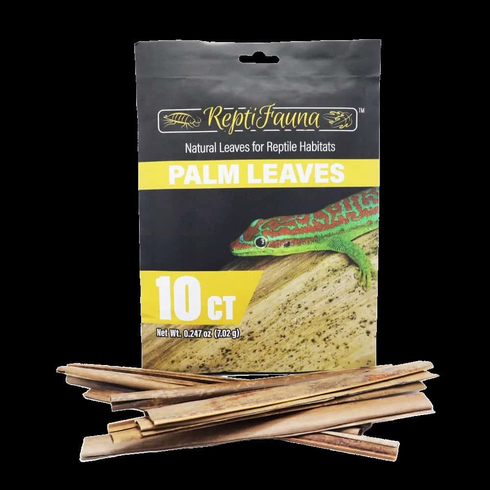 ReptiFaunaâ„¢ Palm Leaves 10 Ct
