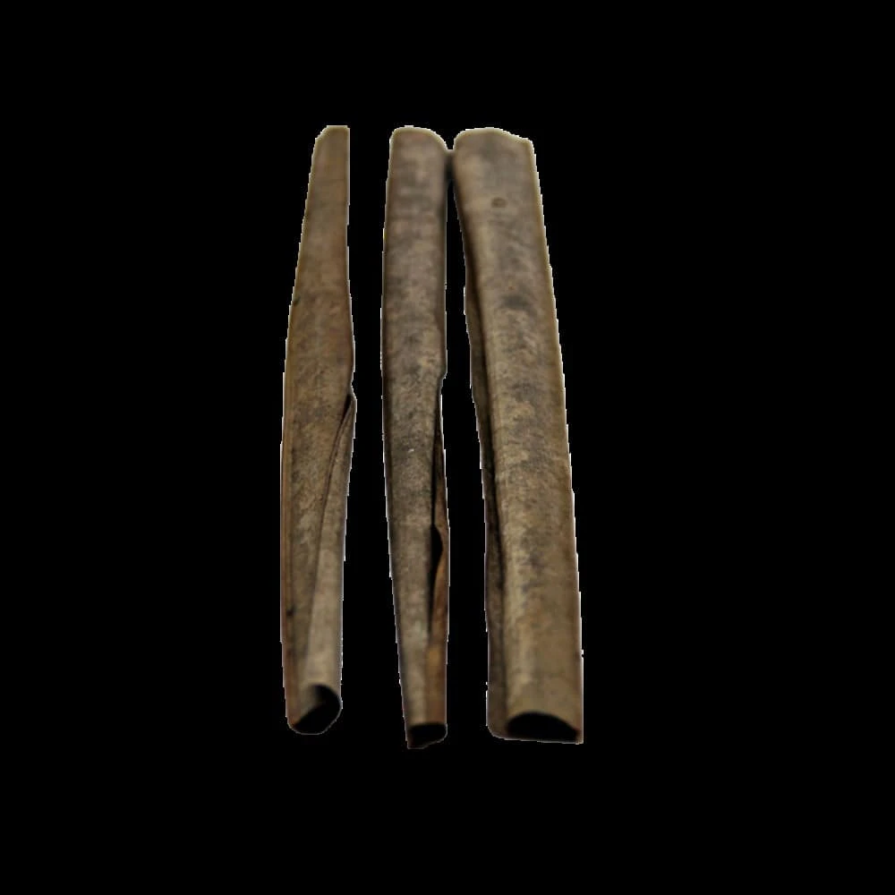 ReptiFaunaâ„¢ Palm Leaves 10 Ct - Image 3