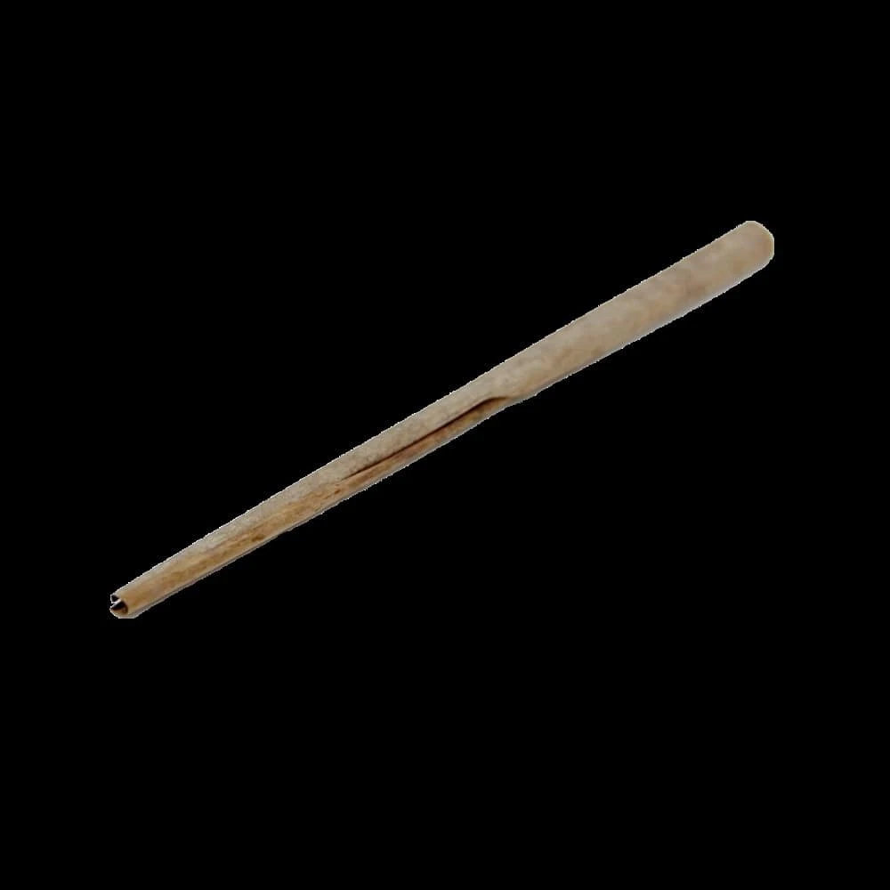 ReptiFaunaâ„¢ Palm Leaves 10 Ct - Image 4