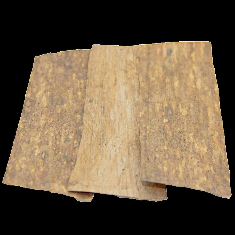 ReptiFauna Banana Leaves 10 Ct - Image 4