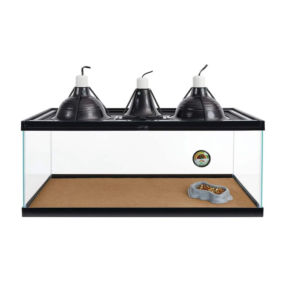 Zilla Bearded Dragon Kit - Image 5