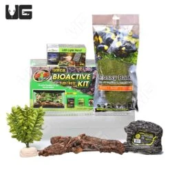 COMPLETE Forest Scorpion Setup