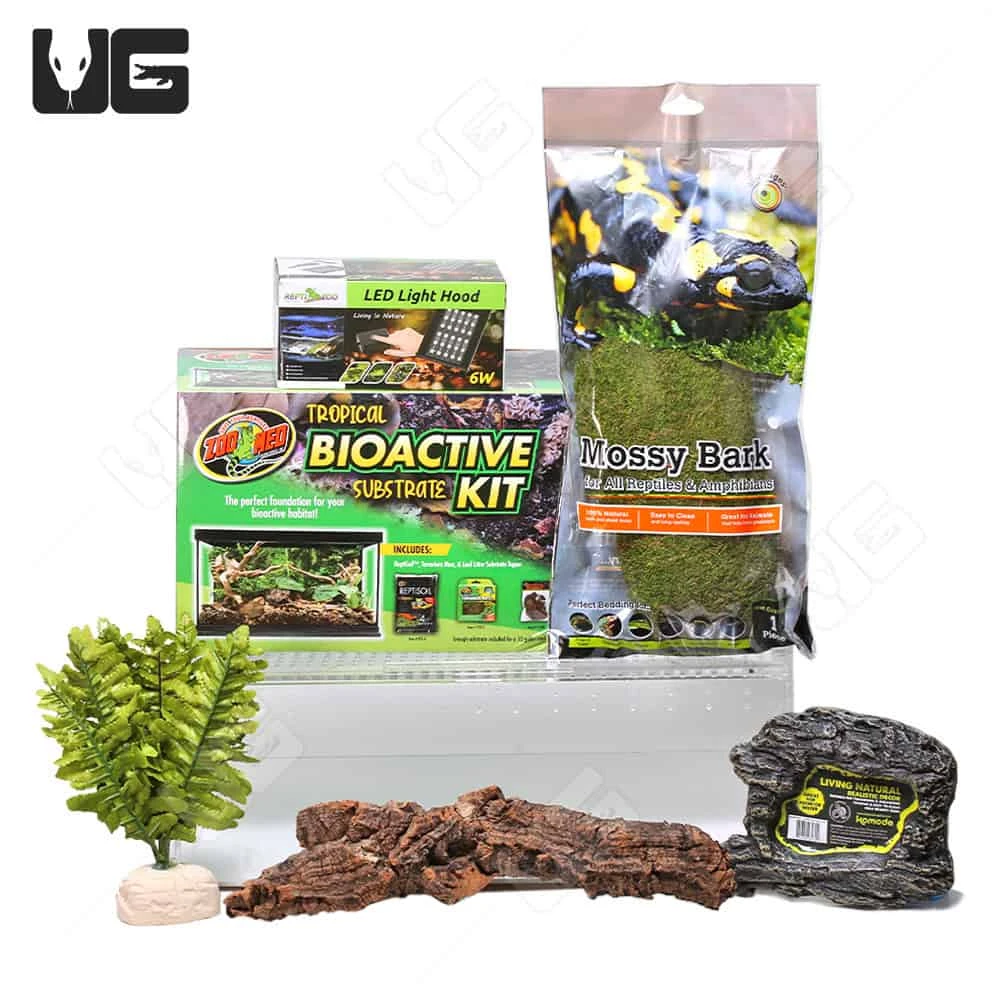 COMPLETE Forest Scorpion Setup