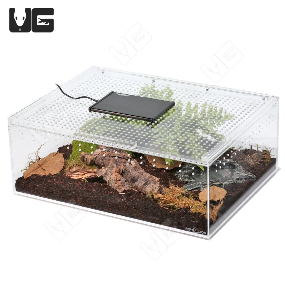 COMPLETE Forest Scorpion Setup - Image 3