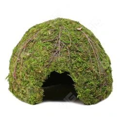 Galapagos Mossy Dome – 6″ Diameter