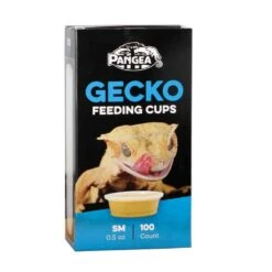 Pangea Gecko Feeding Cups – Small