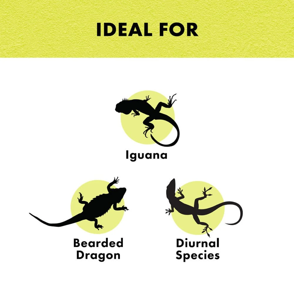 Zilla Day White Light Incandescent Spot - Image 2