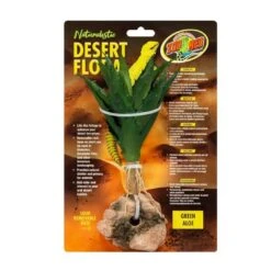 Desert Flora – Green Aloe