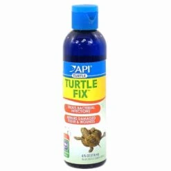 API Turtle Fix