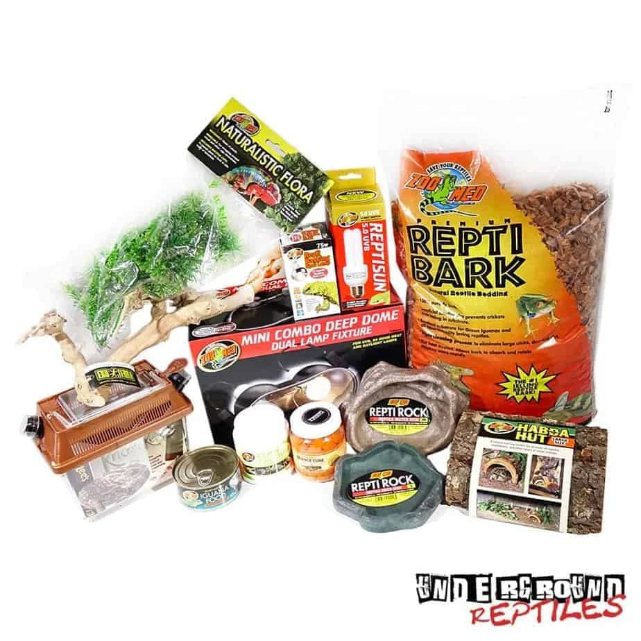 Rock/Rhino/Cyclura Iguana Setup