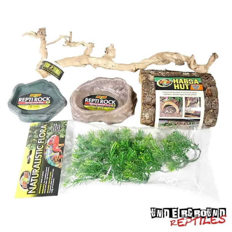 Rock/Rhino/Cyclura Iguana Setup - Image 4