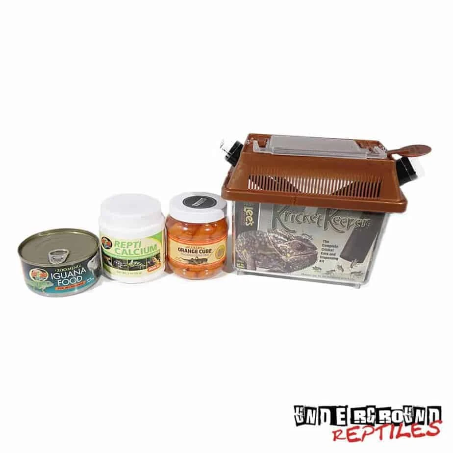 Rock/Rhino/Cyclura Iguana Setup - Image 3