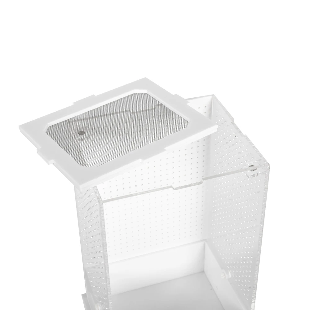 Acrylic Feeding Tank - Image 3