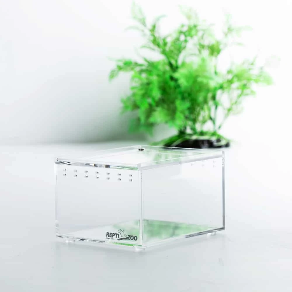 Acrylic Mini Tank