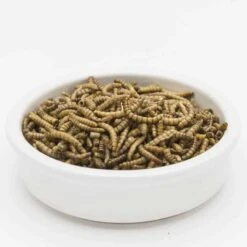 Mealworms