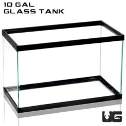 10 Gallon Tank/Aquarium