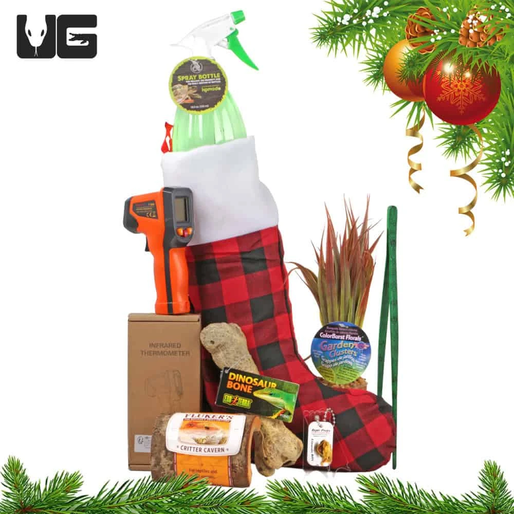 Cave And Decor Stocking