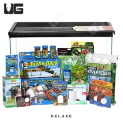 COMPLETE 10 Gallon Baby Aquatic Turtle Setup