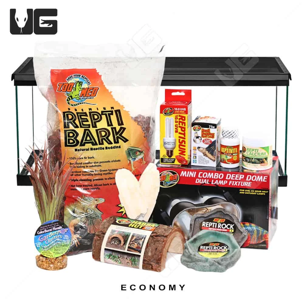 COMPLETE Baby Grassland Tortoise Setup - Image 4