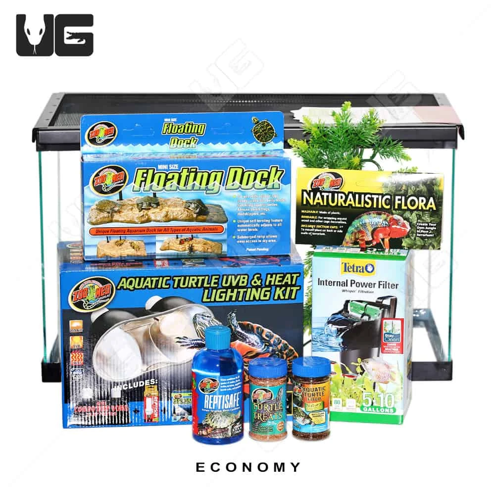 COMPLETE 10 Gallon Baby Aquatic Turtle Setup - Image 4