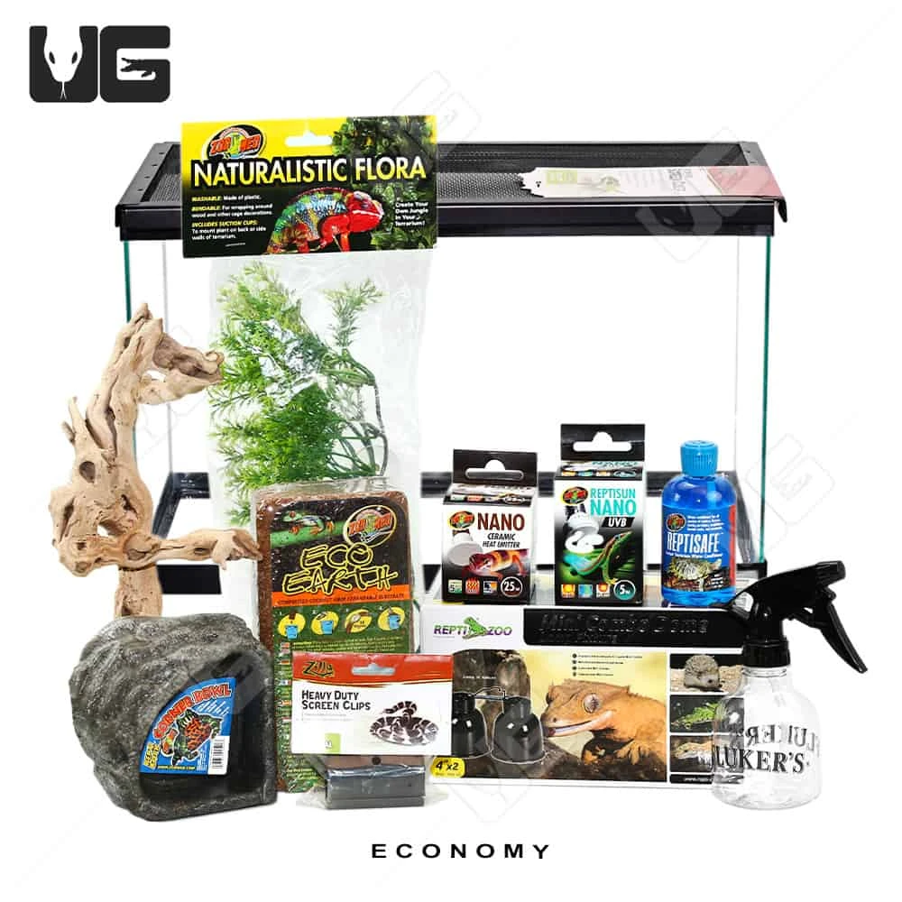 COMPLETE 10 Gallon Tree Frog Setup - Image 6