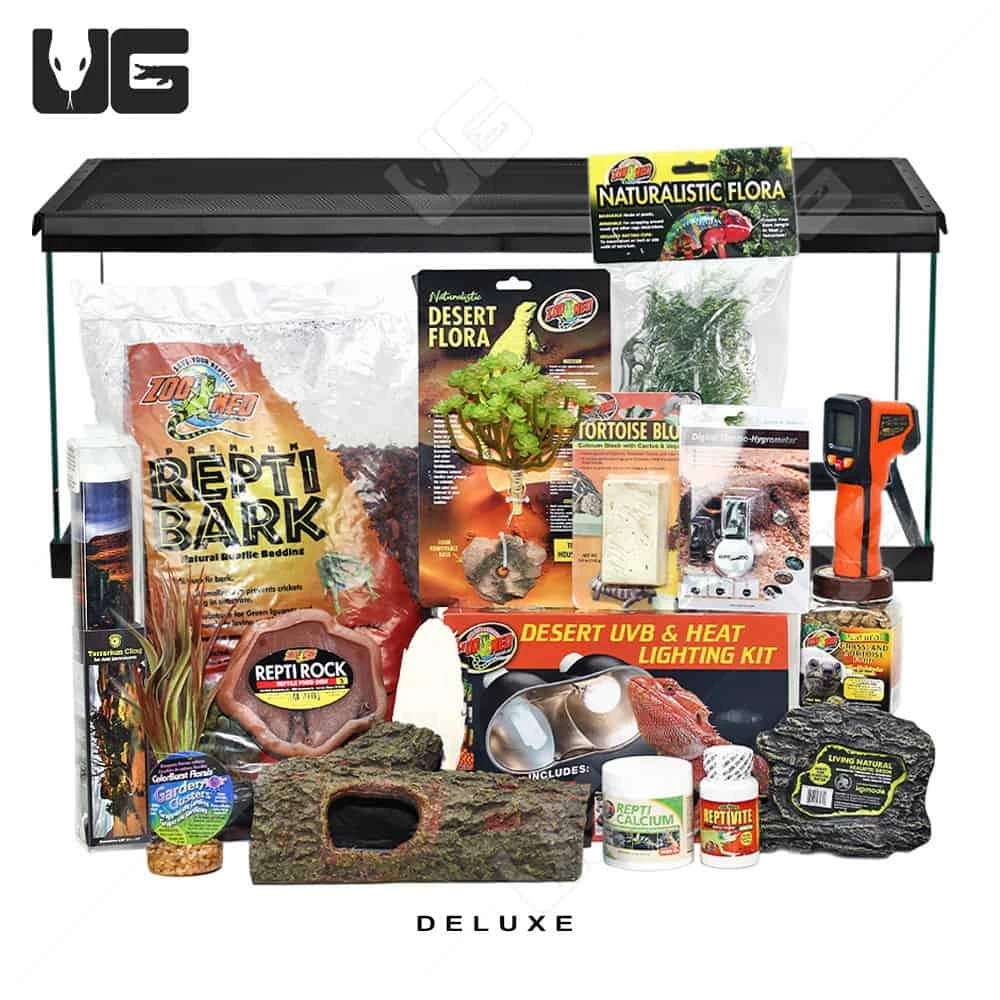 COMPLETE Baby Grassland Tortoise Setup