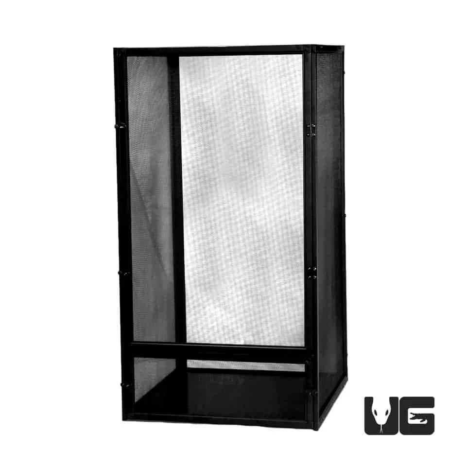 Baby Iguana Setup - Image 3