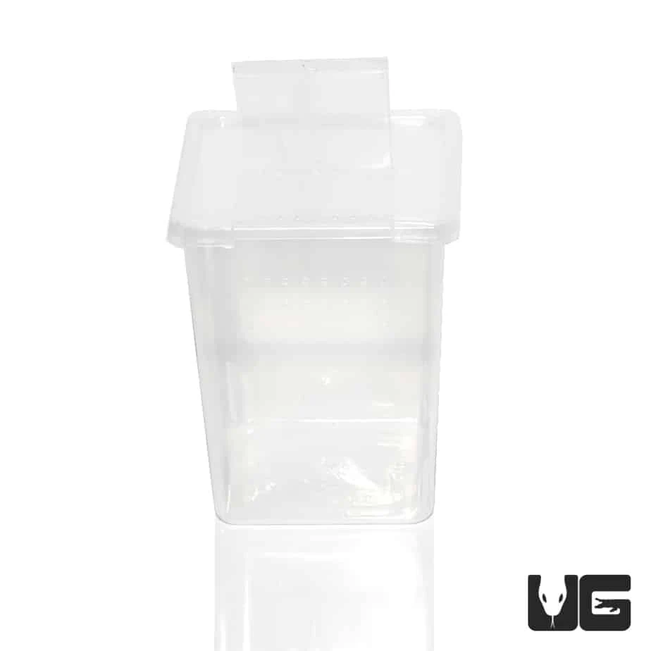 Baby Invertebrate Habitat (Small) - Image 4