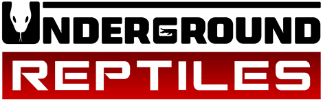 Underground Reptiles Shop